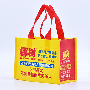无纺布袋,厦门无纺布袋