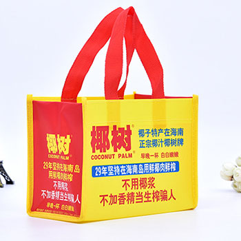 无纺布袋,厦门无纺布袋