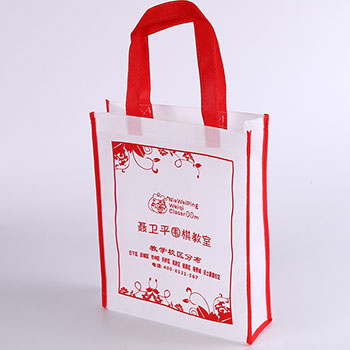 无纺布袋,厦门无纺布袋